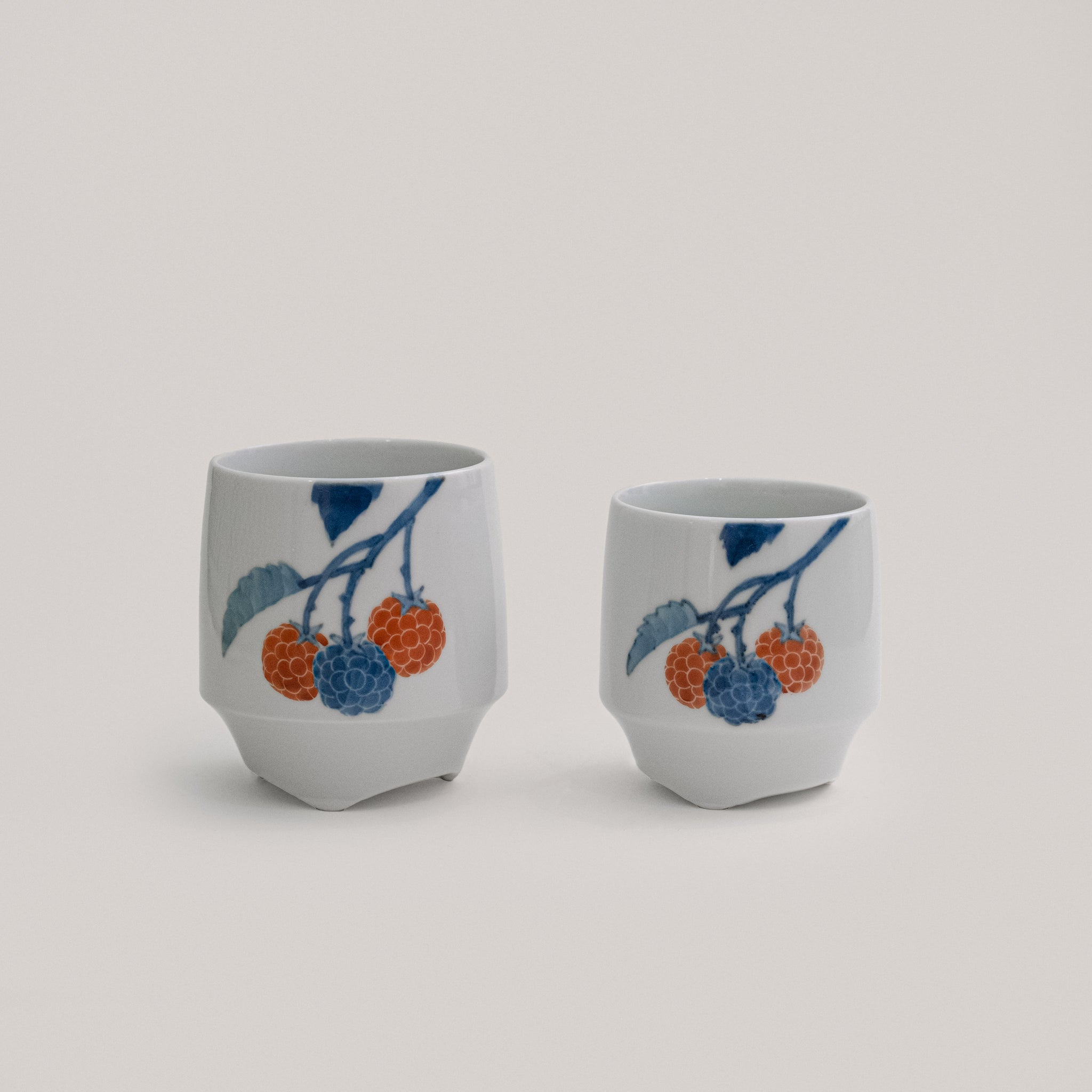 Iro-e Koshuhai Cup
